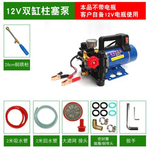 打药机电动喷雾器农用打药泵高压手提果树农药弥雾机喷雾机双缸柱塞泵洗车机器抽水机 12V柱塞泵+铜喷枪