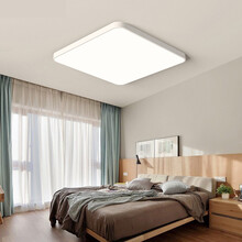 简盈 led吸顶灯简约现代超薄客厅灯正方形大气灯具餐厅厨房家用卧室灯 【地方】白色40*40CM单色白光LED36W
