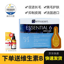 黄金点 宠物泰迪博美金毛法牛狗狗真菌猫癣皮肤病 猫用德美丝皮肤修复滴剂 猫用(4支/盒)