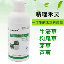 精喹灵禾除草魔芋花生除草剂精奎禾灵乳油除芦苇药精喹禾灵除茅草 90ml