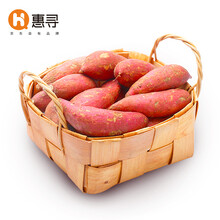 惠寻 湖北沙地蜜薯 红薯 番薯 地瓜 健康轻食 新鲜生鲜蔬菜 SHF 3斤 中大果 150g