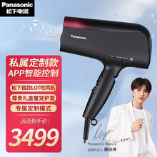松下（Panasonic）电吹风机家用大功率1800W纳诺怡矿物质负离子发梢护理吹风筒EH-XD30