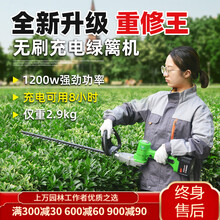 TOMSPOWER充电式无刷重修绿篱机锂电采茶机茶园茶树修剪机粗枝剪球树修枝剪 【无刷重修】24V双刃+20安背负锂电池（8小时）