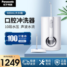 松下（Panasonic）冲牙器洗牙器水牙线全身水洗600ml大容量可拆卸水箱 家用款(常规)
