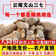 三七云南文山20头30头野生花田七粉500g可磨37粉三七片 30头30个纯头子(500G)