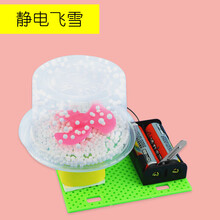 【品质保证】科技小制作小发明自制物理科学小实验套装手工创意diy材料小学生 静电飞雪