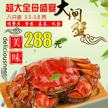【活蟹】阳澄凯馨大闸蟹 现货鲜活特大螃蟹 活蟹超大全母蟹活体 海鲜水产生鲜礼盒 全母蟹套餐3.5-3.8两   八只礼盒装