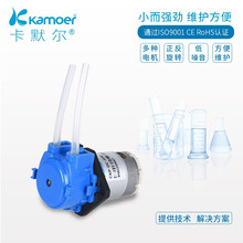 kamoer蠕动泵12v微型泵家用全自动低噪音自吸泵直流电动小抽水泵 迷你水泵 假山抽水鱼缸循环泵 CKP；蠕动泵DIY套装