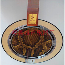 秦琴红花梨指板 蟒蛇皮腰形秦琴乐器 民族乐器三弦琴 中级圆形中部皮+教程+琴包