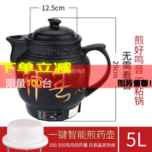 中药煲全自动熬药锅砂锅煎中医壶电煮中药锅药罐煎药壶电药壶一体 5L(白陶晶不粘)鸣音提示+全自动