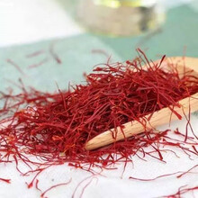 伟博 藏红花正宗调理番红花泡水泡脚女人养生茶西红花 藏红花泡水喝的好处 200g/原厂罐