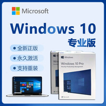 正版系统软件Windows10系统win10家庭中文版/专业版/Win10企业版 无票 Win10专业版+优盘