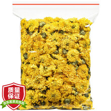 【大份量约500朵】金蕊婺源皇菊 菊花球婺源皇菊皇菊贡菊菊花茶可搭枸杞决明子金银花茶散装袋装100克