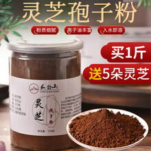 【买一贈一】灵芝孢子粉长白山头道灵芝孢子粉 (共500克)贈黑灵芝5朵