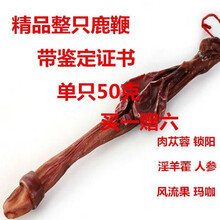 【整支鹿鞭】【长够硬】吉林鹿鞭带证书泡酒药材长白山鹿鞭 30克左右