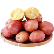【2021新土豆】云南红皮黄心土豆新鲜现挖马铃薯 小果2斤