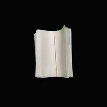 草莓套袋专用袋无花果袋樱桃袋育果小蜡袋车厘子防虫防鸟防水防病 无搭配草莓套袋10个