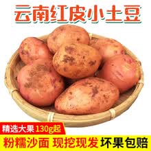 大地果缘 云南高原特产红皮小土豆黄心新鲜现挖蔬菜农家自种马铃薯产地直发 4500g