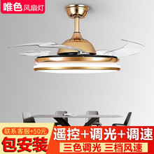 唯色风扇灯 超薄隐形吊扇灯金色LED餐厅卧室书房风扇吊灯 现代简约带灯吊扇一体灯具 36寸普通遥控款 普通遥控+三色调光+三档风速