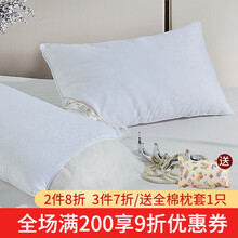 丝煌蚕丝枕头枕芯100%双宫桑蚕丝长丝单人成人舒适枕 成人低枕(单只47x74)净蚕丝800克 一只