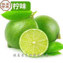 EverBuild健型EB液态左旋肉碱150000甩脂左旋20万15万L-CARNITINE 浅绿色