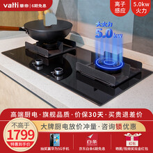 华帝（VATTI）燃气灶 天然气液化气嵌入式台式双灶具 5.0kw大火力灶台i10056B 燃气灶 燃气灶 液化气