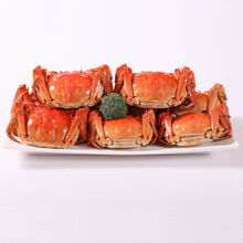 【活蟹】大闸蟹鲜活螃蟹活体特大现货礼盒海鲜水产蟹类 惟纳德 (公母2.8-2.3两)10只