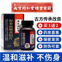 南京同仁堂绿金家园晗青堂海参黄精鹿鞭片0.6g*60片可配男性保健品男用人参鹿鞭牡蛎肽片鹿鞭膏鹿鞭丸 1盒装