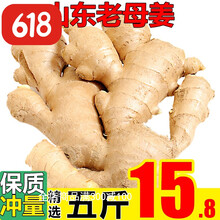 山东大姜5斤精心挑选老姜新鲜生姜安丘大黄姜月子姜有坏包赔 带箱1.5斤