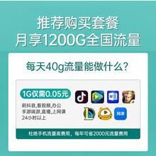 路游器 随身wifi无限流量移动wifi无线4g插卡路由器手机热点车载便携式5g网络通宽带笔 白色 合家享-冲浪年包