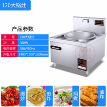 双亚  商用电磁炉电磁灶大功率食堂炒菜灶台 工厂酒店餐厅学校厨房炒菜大锅灶 120大锅灶（20KW） 款式