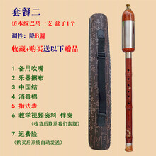 杉贝 SHANBEI 巴乌胶木竖吹仿红木巴乌调降调调调小学生初学入门乐器抖音同款 套餐二:竖吹仿红木降B调巴乌+盒子