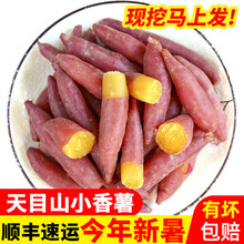 临安天目山小香薯 新鲜板栗红薯地瓜健康轻食 3斤装【普通小果】
