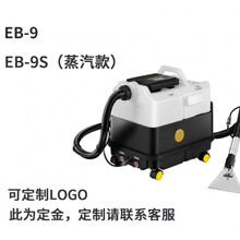 皮谱沙发清洗机 沙发清洗机抽吸一体小型商用多功能布艺干洗窗帘床垫地毯清洗机 A9 家电管道布艺三合一清洗机