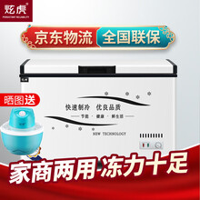 炫虎冷柜 冰柜商用大容量卧式全冷冻 家用冰柜 冷柜雪柜单温双温 自营仓发货 单温全冷冻 ACF-588