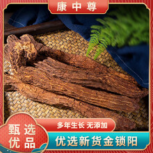 锁阳正宗甘肃瓜州金锁阳中药材泡酒料特级整根500克 【1整根】金锁阳350克（五年生）