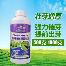 茶叶茶树专用叶面肥 催芽剂催芽素多芽嫩芽暴芽增产30-1000克 500毫升
