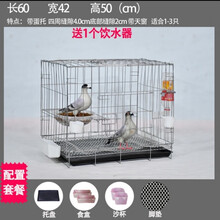 加粗鸽子笼子鸽子用品用具鸽子笼大号鸡笼家用鸽子养殖笼子 粗二层60*42*50+粪盘食具脚垫