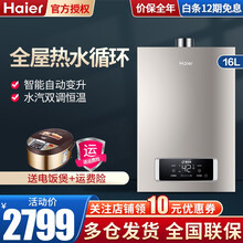 海尔（Haier）燃气热水器家用速热变频水气双调恒温强排式天然气热水器 56重安全防护 零冷水APP智联 JSQ30-16R3BWU1