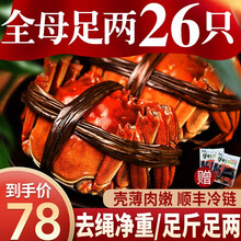【活蟹】蟹阳坊大闸蟹鲜活螃蟹现货湖河蟹礼盒 全母蟹2.5-2.8两12只