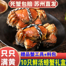 【活蟹】10只阳澄东湖大闸蟹鲜活螃蟹现货海鲜水产礼盒装 对蟹：公3.0两+母2.0两（5对）