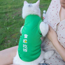 猫衣服春夏款透气网格背心夏天狗狗薄款无袖猫咪防脱夏装宠物服装 绿色靠脸吃饭 L胸43背33cm建议7-9斤