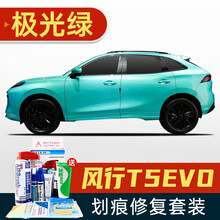 适用于东风风行T5Evo补漆笔珍珠白色皓月灰星辰白陨石黑汽车划痕修复神器深度刮痕修补车漆面去痕自喷漆 FX-46极光绿 21款T5 Evo 划痕套装(补漆笔+喷气罐+补土+驳口金油+增亮剂