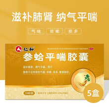 仁和 参蛤平喘胶囊 0.3g*24粒yy 5盒装