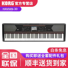 KORG科音电钢琴HAVIAN-30舞台家用数码电钢琴88键重锤自动伴奏电子钢琴意大利FATAR琴键 HAVIAN30主机+DS-2H单踏板