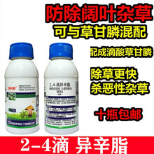 24-滴异辛酯滴酸草甘膦配方2，4-滴异辛酯速效草甘膦配方阔叶杂草 90ml