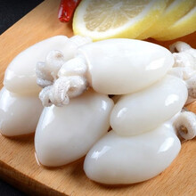 顺丰新鲜墨鱼仔海捕鲜活冷冻海鲜 火锅食材 1斤装 大号【每斤10-15只】