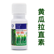 黄瓜专用免点花药拉直素叶面肥沾花药授粉药壮美拉直素拉长增产药 黄瓜拉直素20ml/瓶