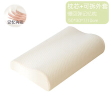 记忆棉枕头单人双人护颈椎枕芯助家用男睡眠整头带枕套一对装拍2 满天星外套记忆枕