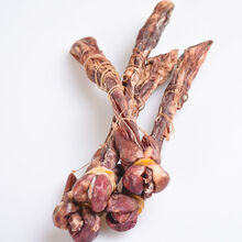 海狗鞭鹿鞭狗鞭泡酒的药材煲汤料泡酒料男性材整根 【足35克海狗鞭1根】